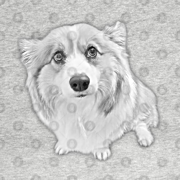 Pembroke Welsh Corgi Pencil Design by Kawaii Sketch